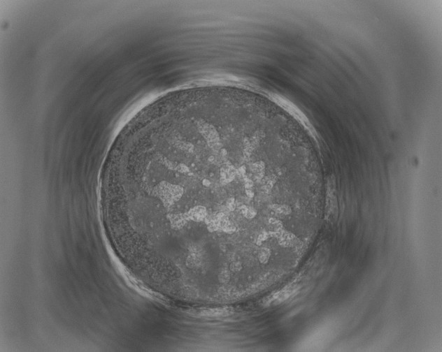 X0000085041047200703121428