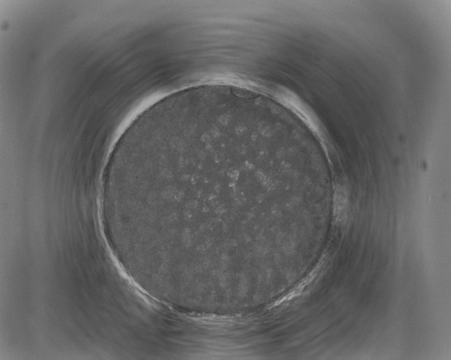 X0000085041048200703121428