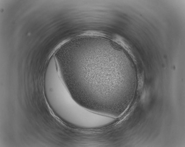 X0000085041049200703121428