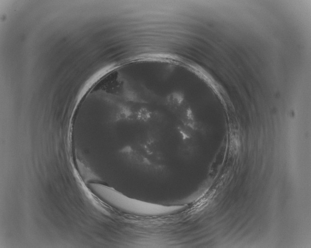 X0000085041050200703121428