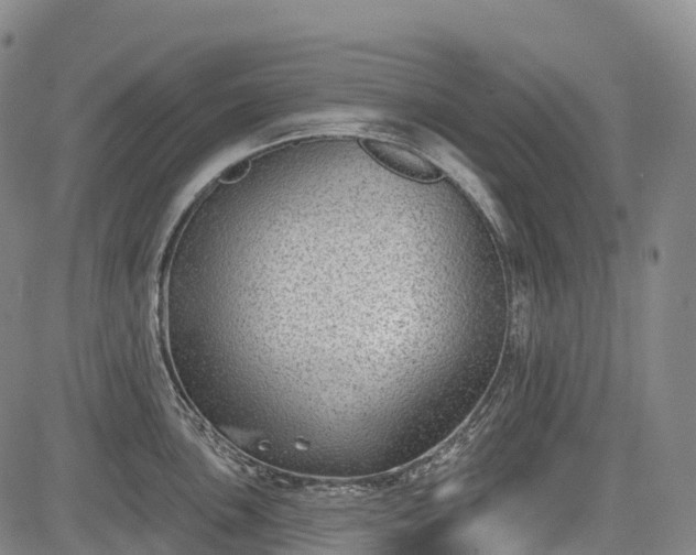 X0000085041051200703121428