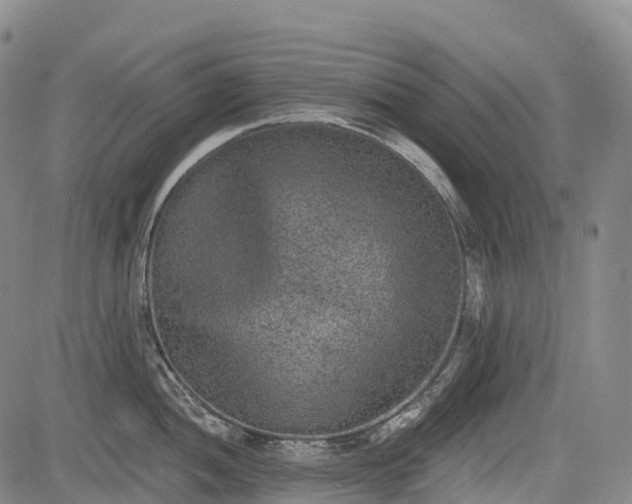 X0000085041052200703121428