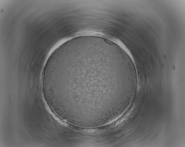 X0000085041053200703121428