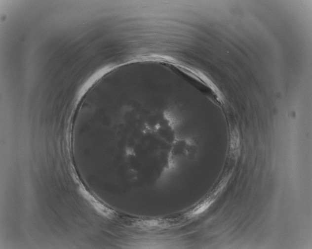 X0000085041054200703121428