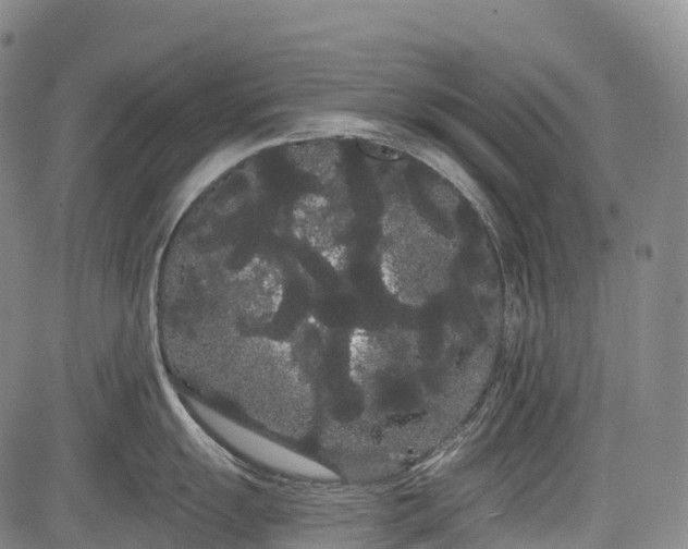 X0000085041055200703121428