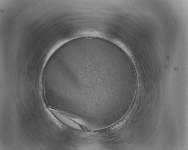 X0000085041056200703121428