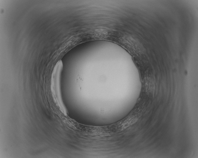 X0000085041057200703121428