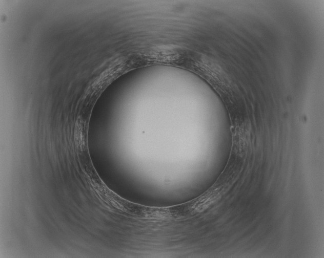 X0000085041058200703121428