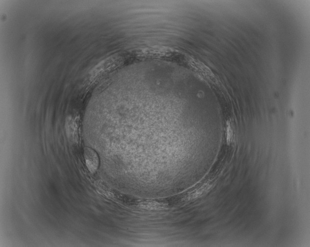 X0000085041059200703121428