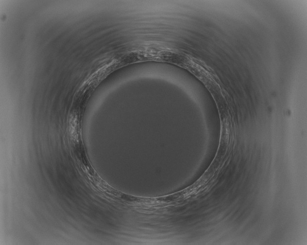 X0000085041060200703121428