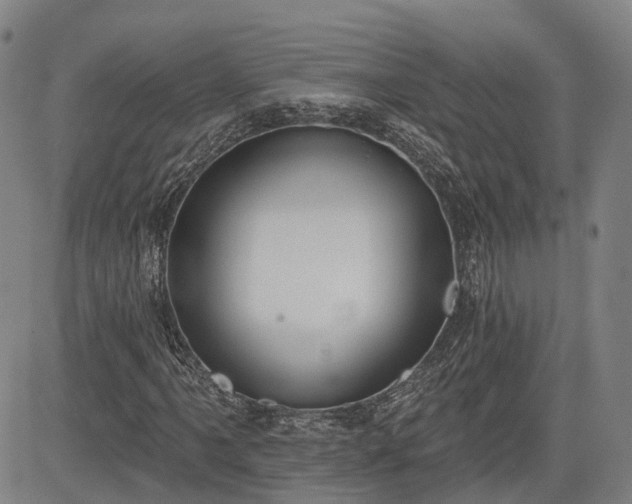 X0000085041061200703121428