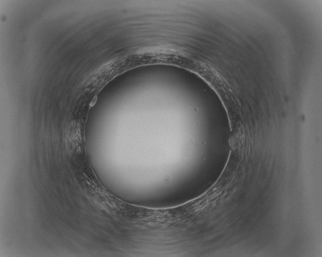 X0000085041062200703121428