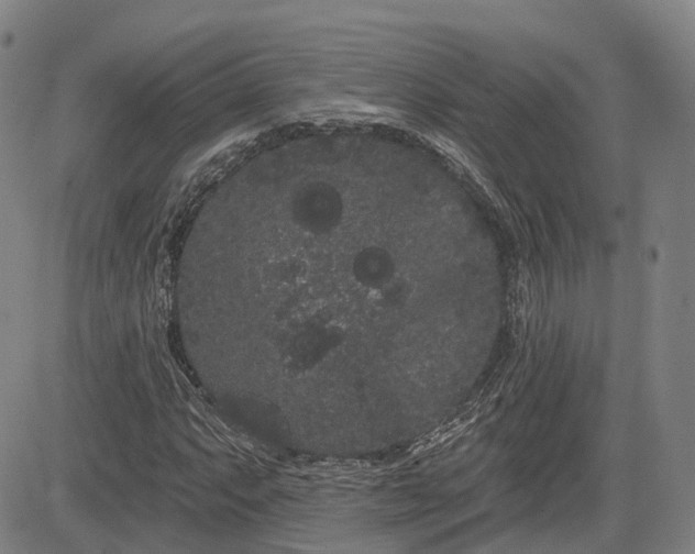 X0000085041063200703121428