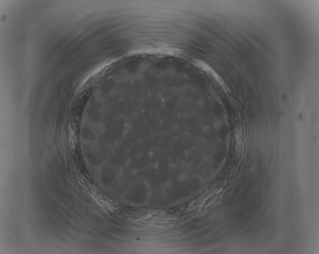 X0000085041064200703121428