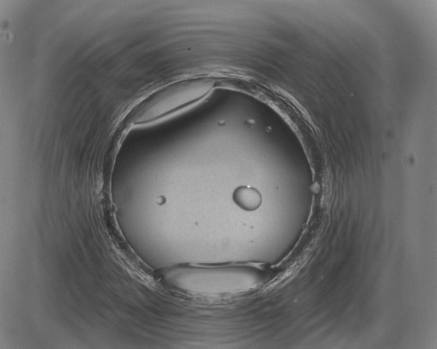 X0000085041065200703121428