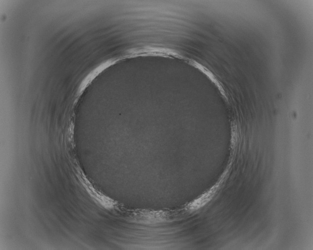 X0000085041066200703121428