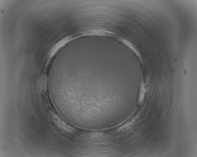 X0000085041067200703121428