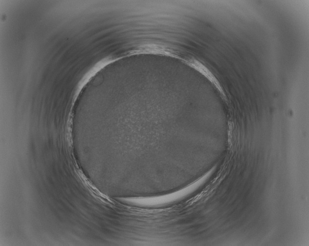 X0000085041068200703121428