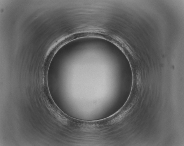 X0000085041069200703121427