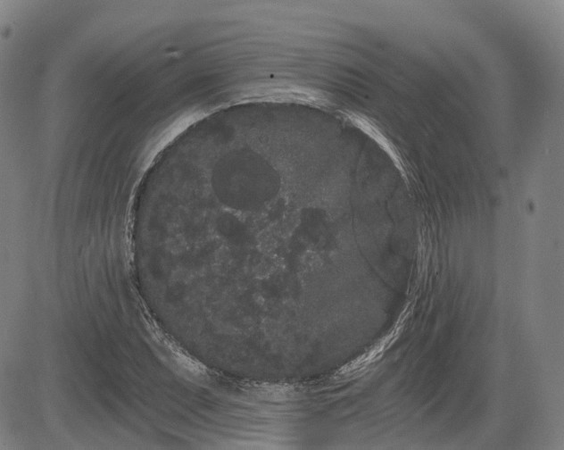 X0000085041071200703121427