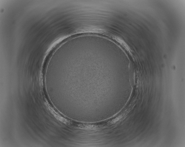 X0000085041072200703121427