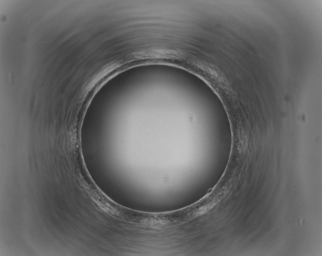 X0000085041073200703121427