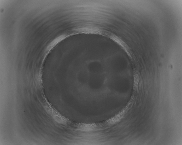 X0000085041074200703121427