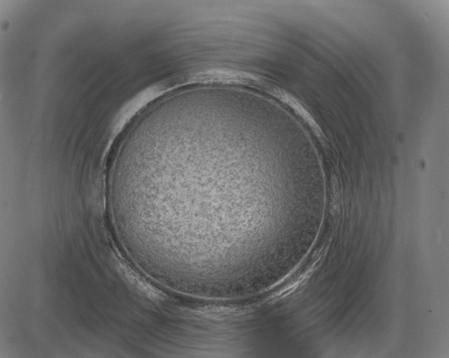 X0000085041075200703121427