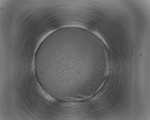 X0000085041076200703121427