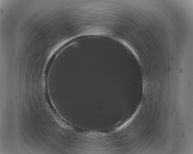 X0000085041077200703121427