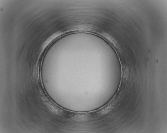 X0000085041078200703121427