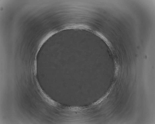 X0000085041079200703121427