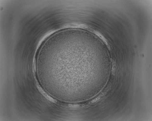 X0000085041080200703121427