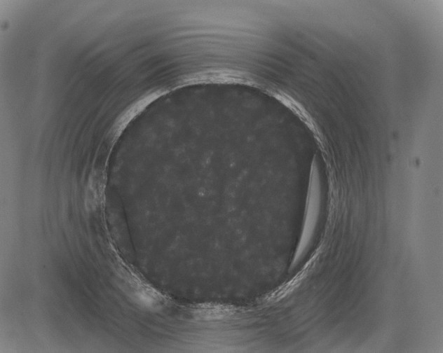 X0000085041081200703121427