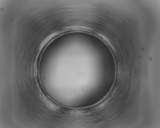 X0000085041082200703121427