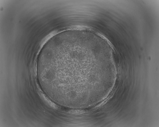 X0000085041083200703121427