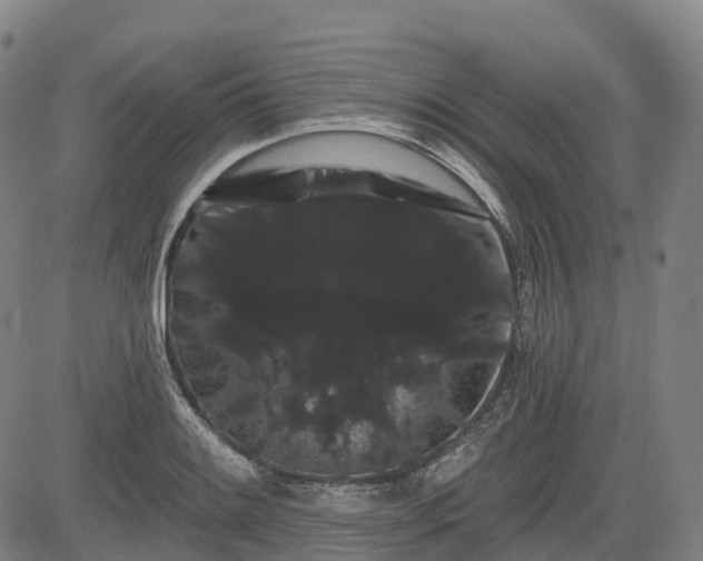 X0000085041084200703121427