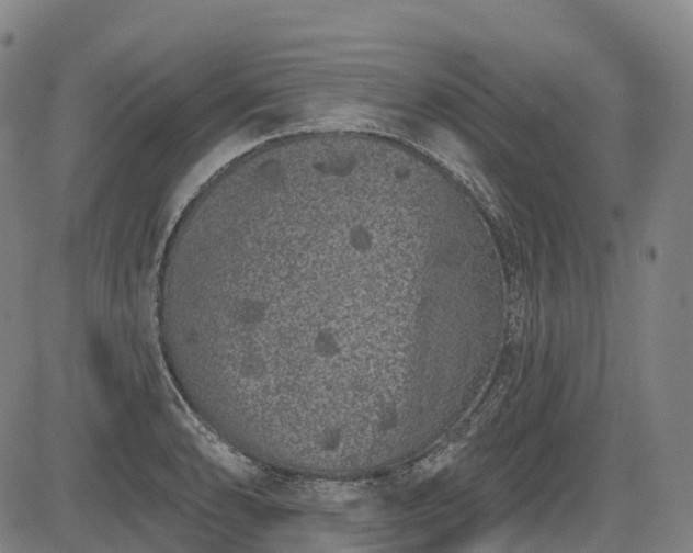 X0000085041086200703121427