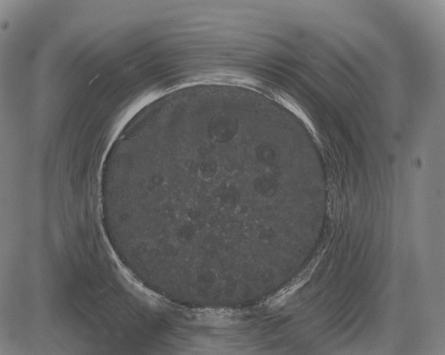 X0000085041087200703121427