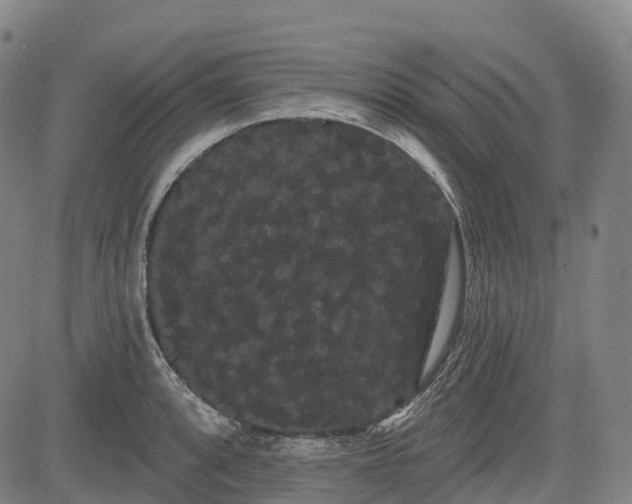 X0000085041088200703121427