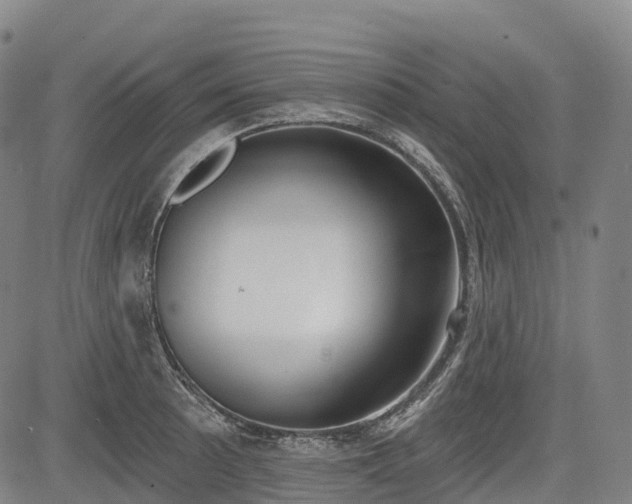 X0000085041089200703121427