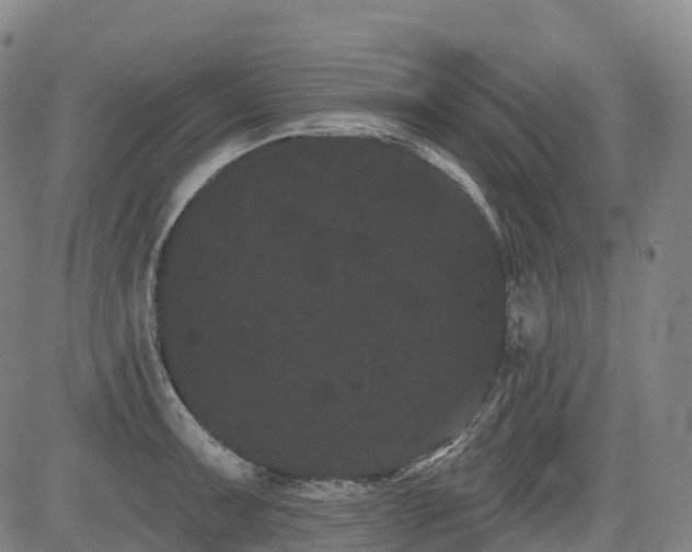 X0000085041091200703121427