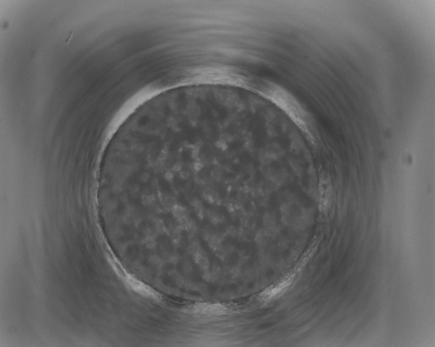 X0000085041094200703121427