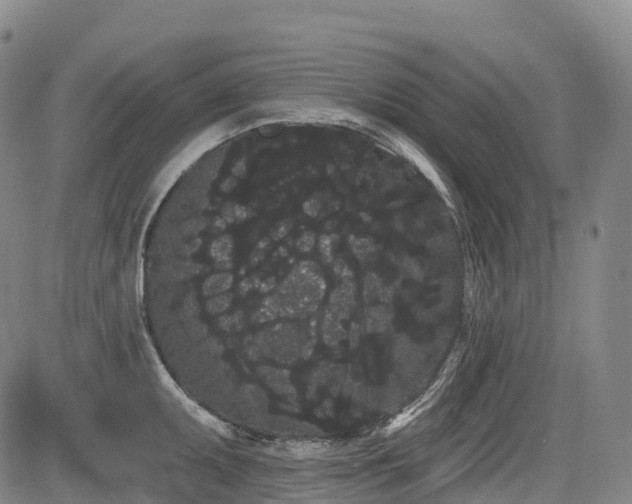 X0000085041095200703121427