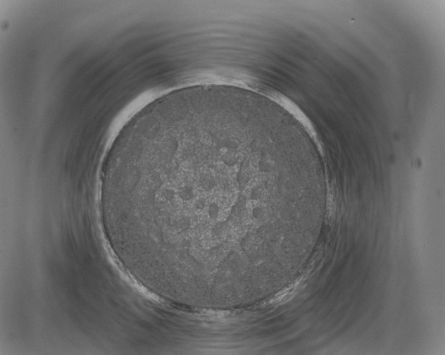 X0000085041096200703121427