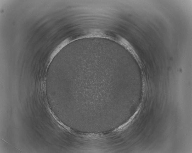 X0000085041097200703121427