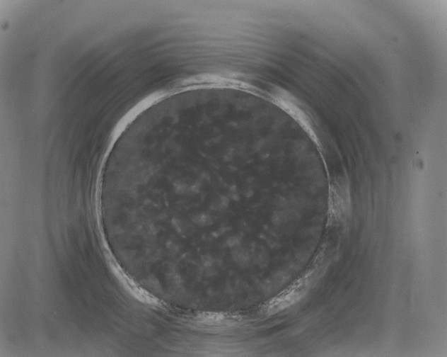 X0000085041098200703121427