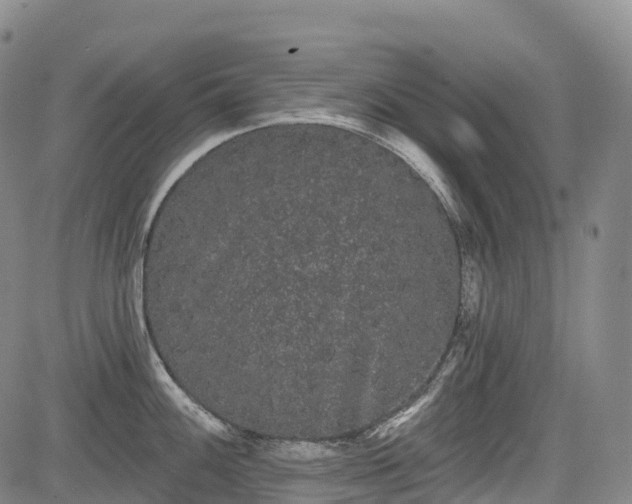 X0000085041100200703121427