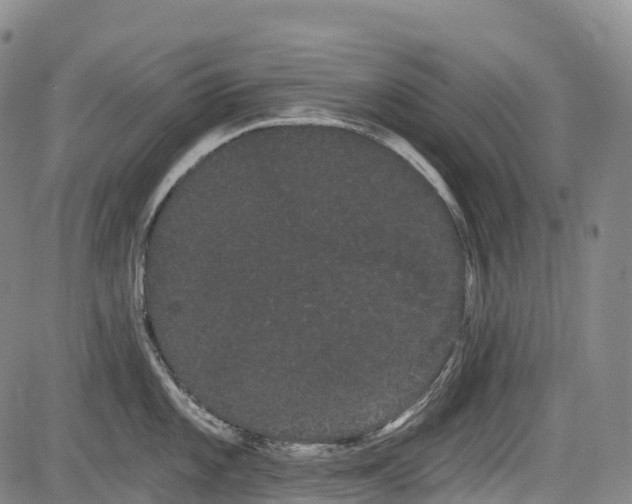 X0000085041101200703121427