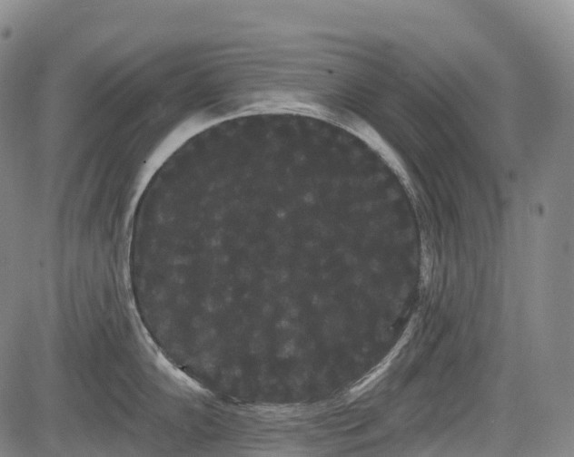 X0000085041102200703121427